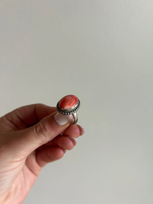 Spiny Oyster Ring